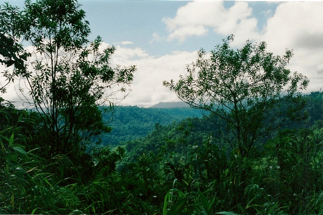 los-rios_02.jpg