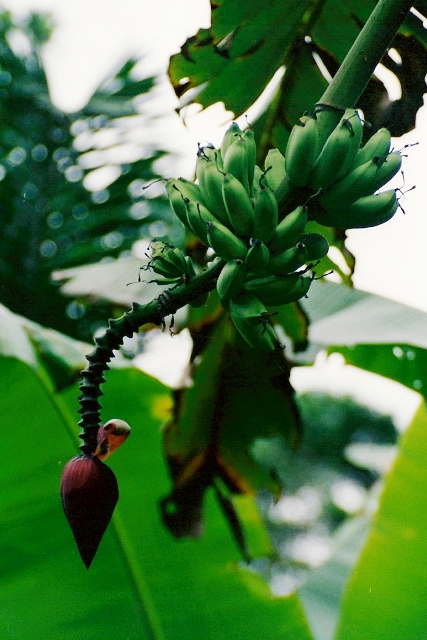 los-rios_04.jpg