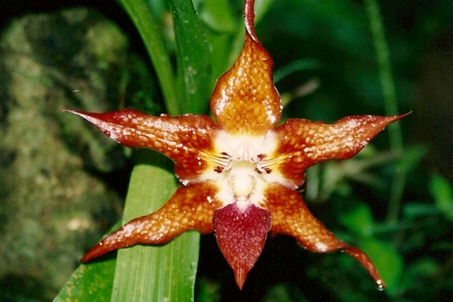 los-rios_05.jpg