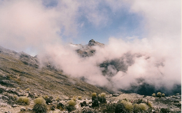 sierra-nevada_05.jpg