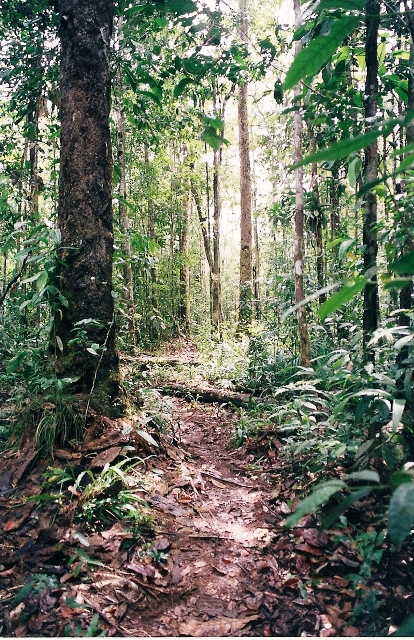 sipapo_12.jpg