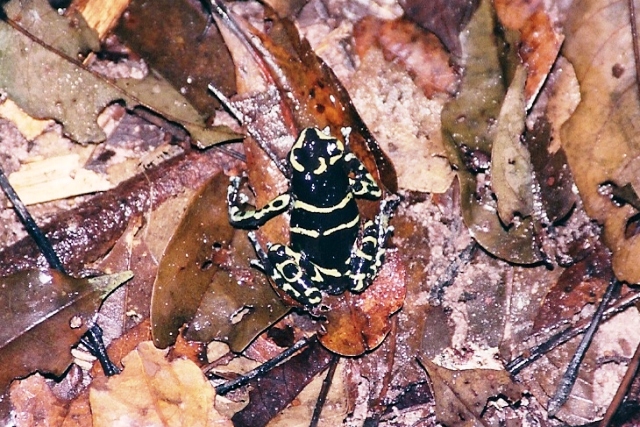 sipapo_13.jpg