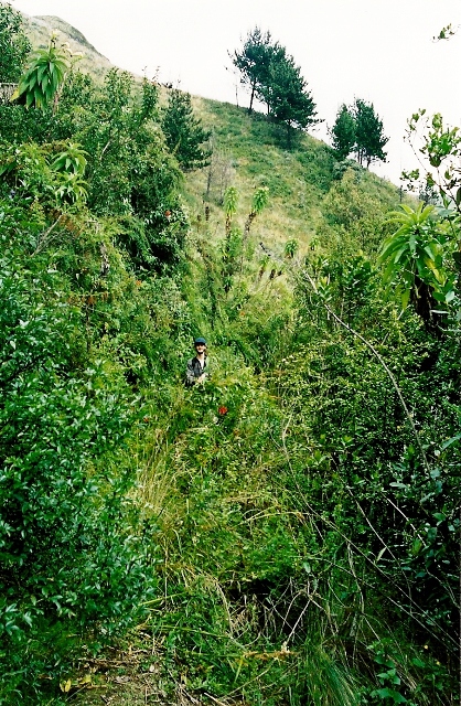pichincha_03.jpg